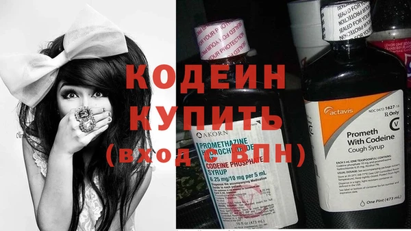 стаф Абаза