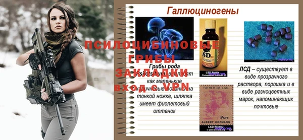 стаф Абаза