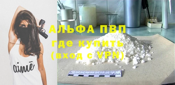 стаф Абаза
